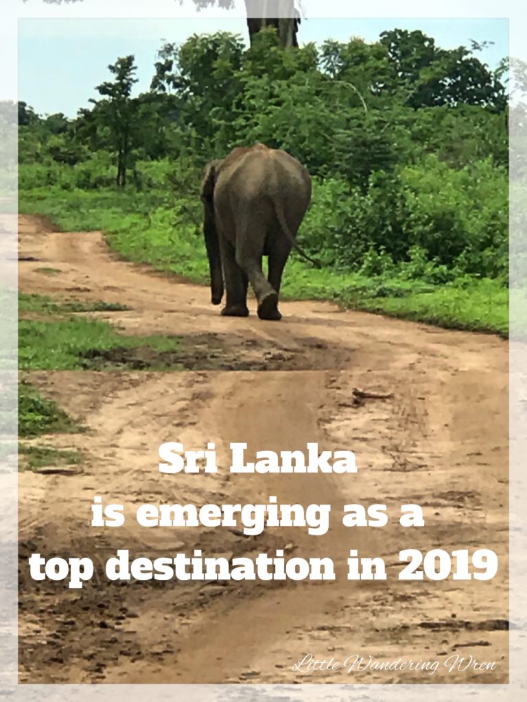 Sri Lanka Travel in 2019