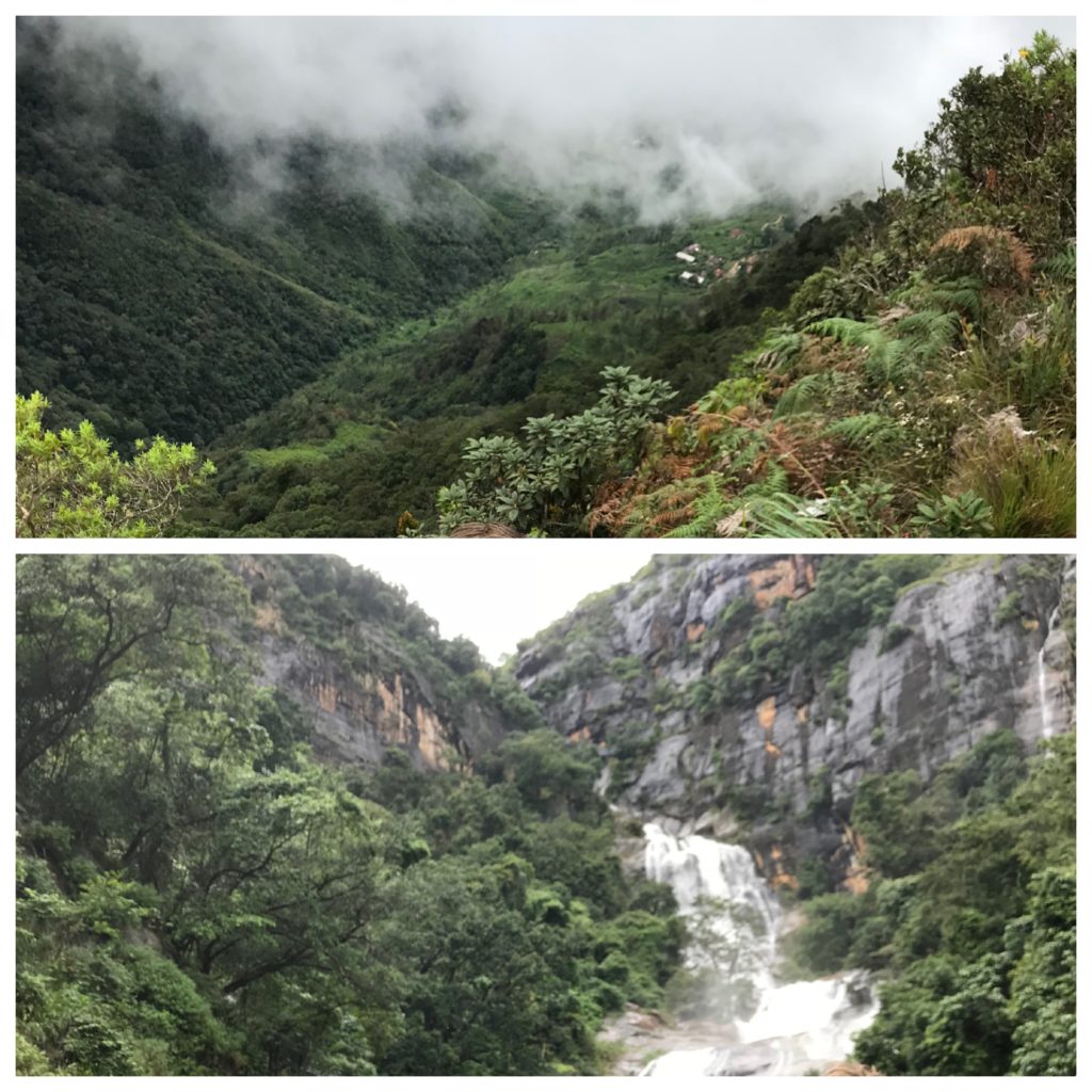 Horton Plains National Park
