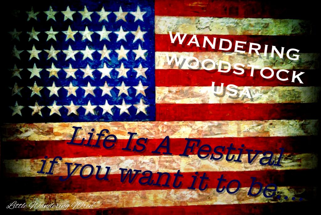 Wandering Woodstcock USA
