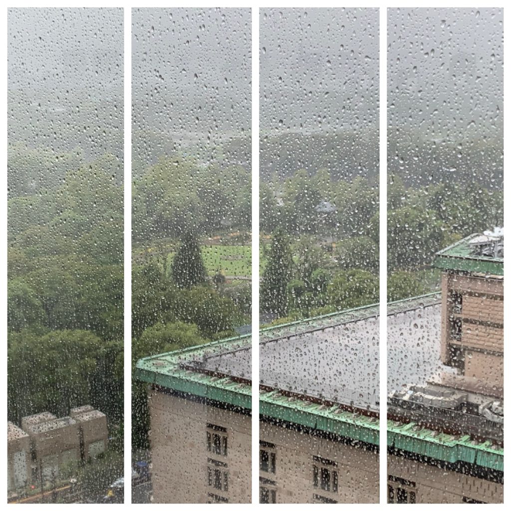 Typhoon Hagibis Imperial Hotel Tokyo