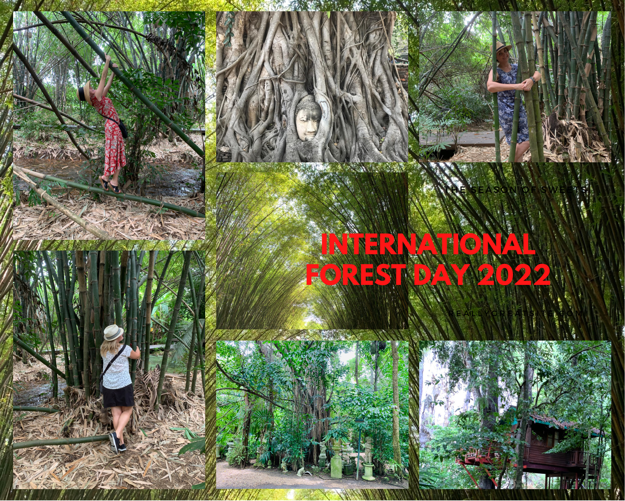 Happy International Forest Bathing Day