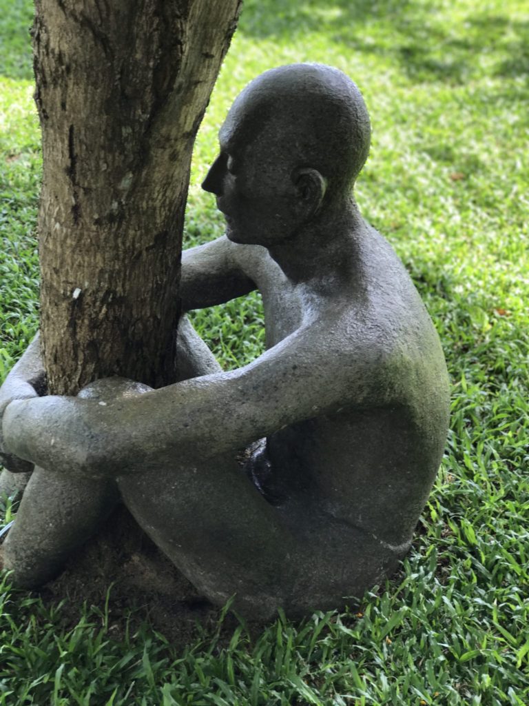 Tree Hugger!