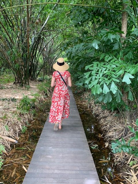 Forest Bathing in Thailand