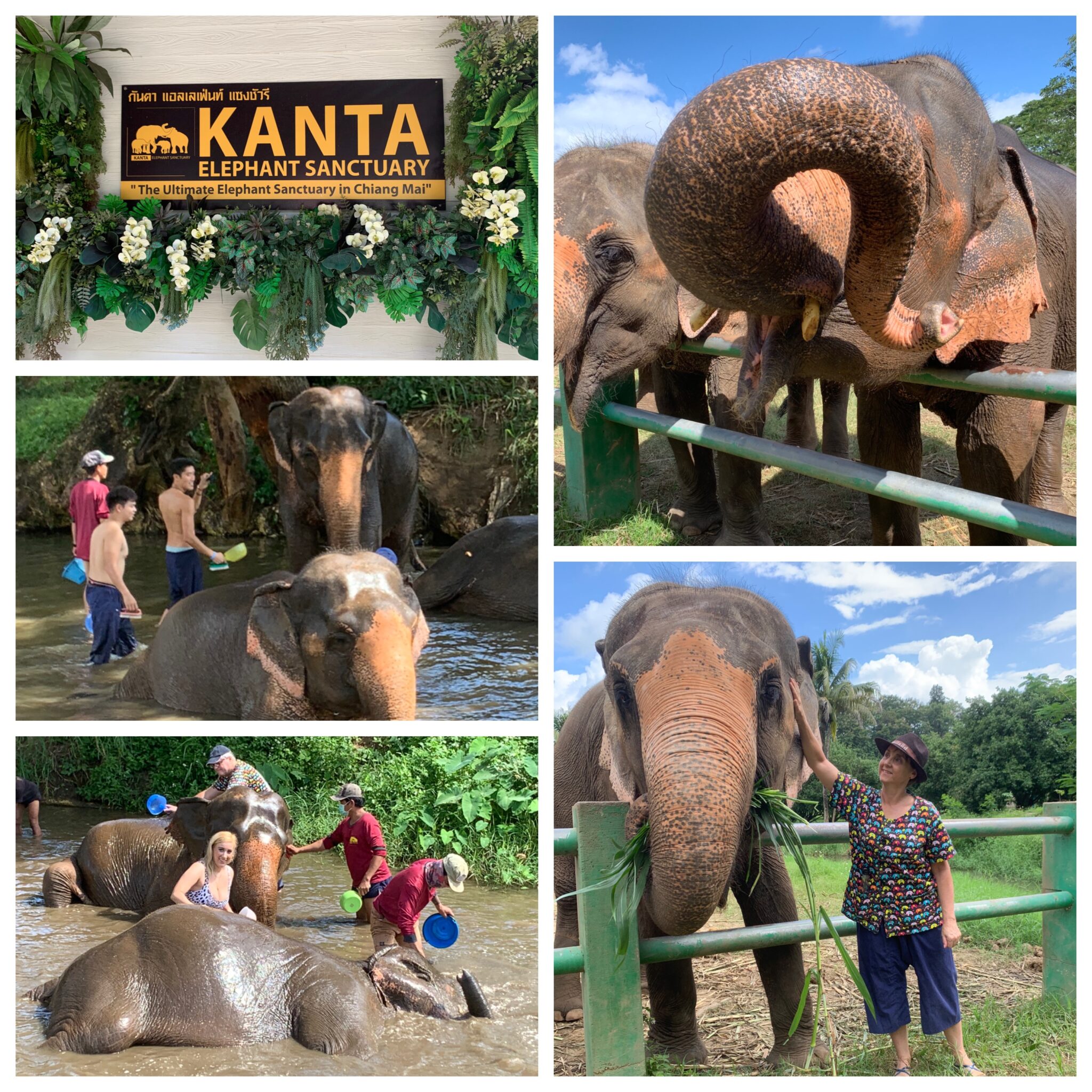 Kanta Elephant Sanctuary