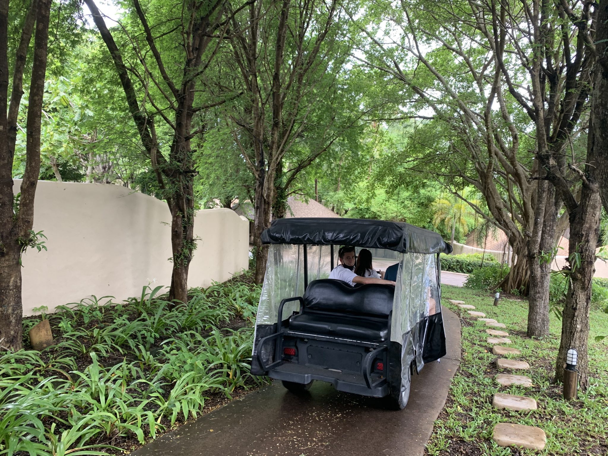 Buggy transport