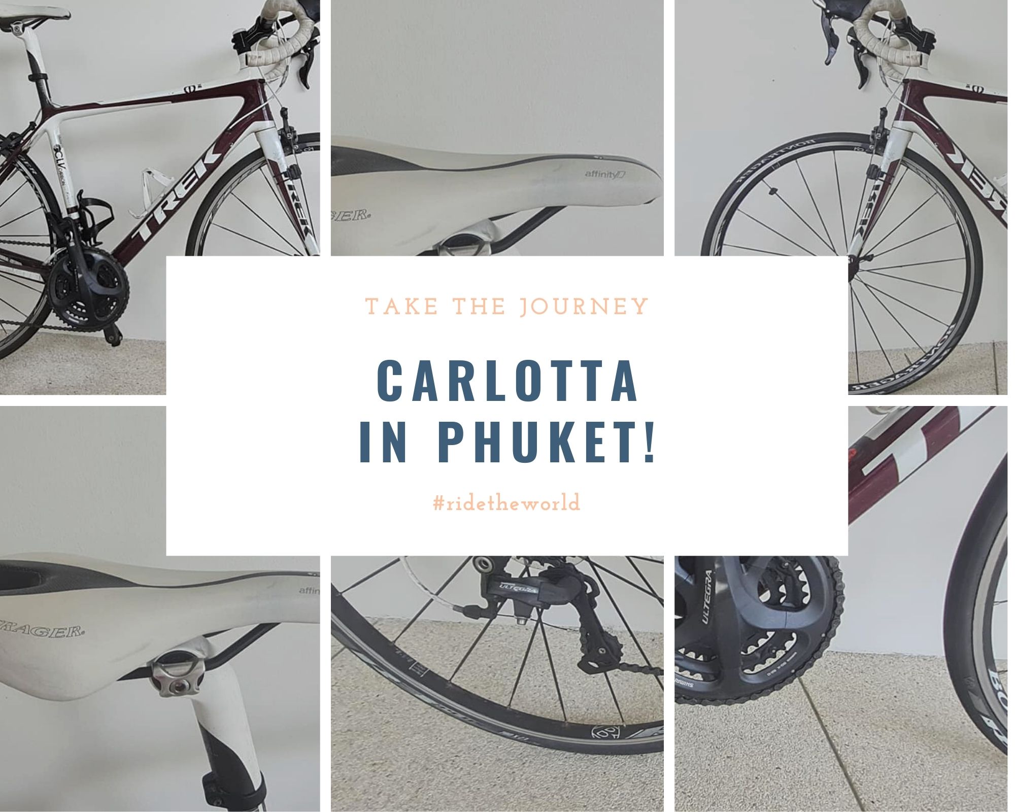 Carlotta road bike