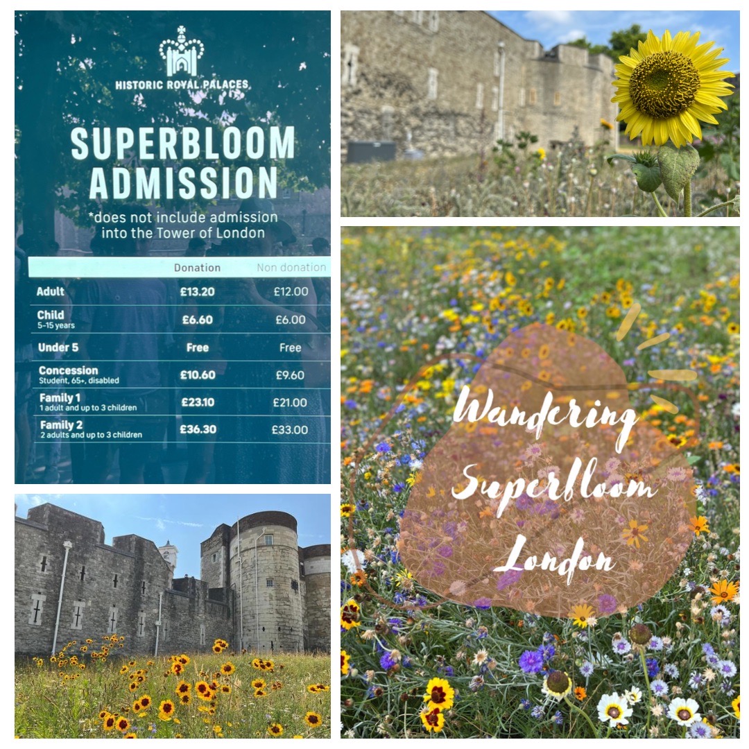 Superbloom at The Tower of London