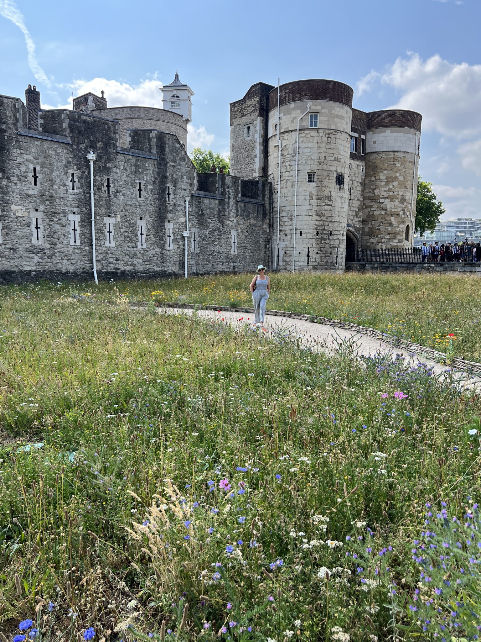 Superbloom at The Tower of London
