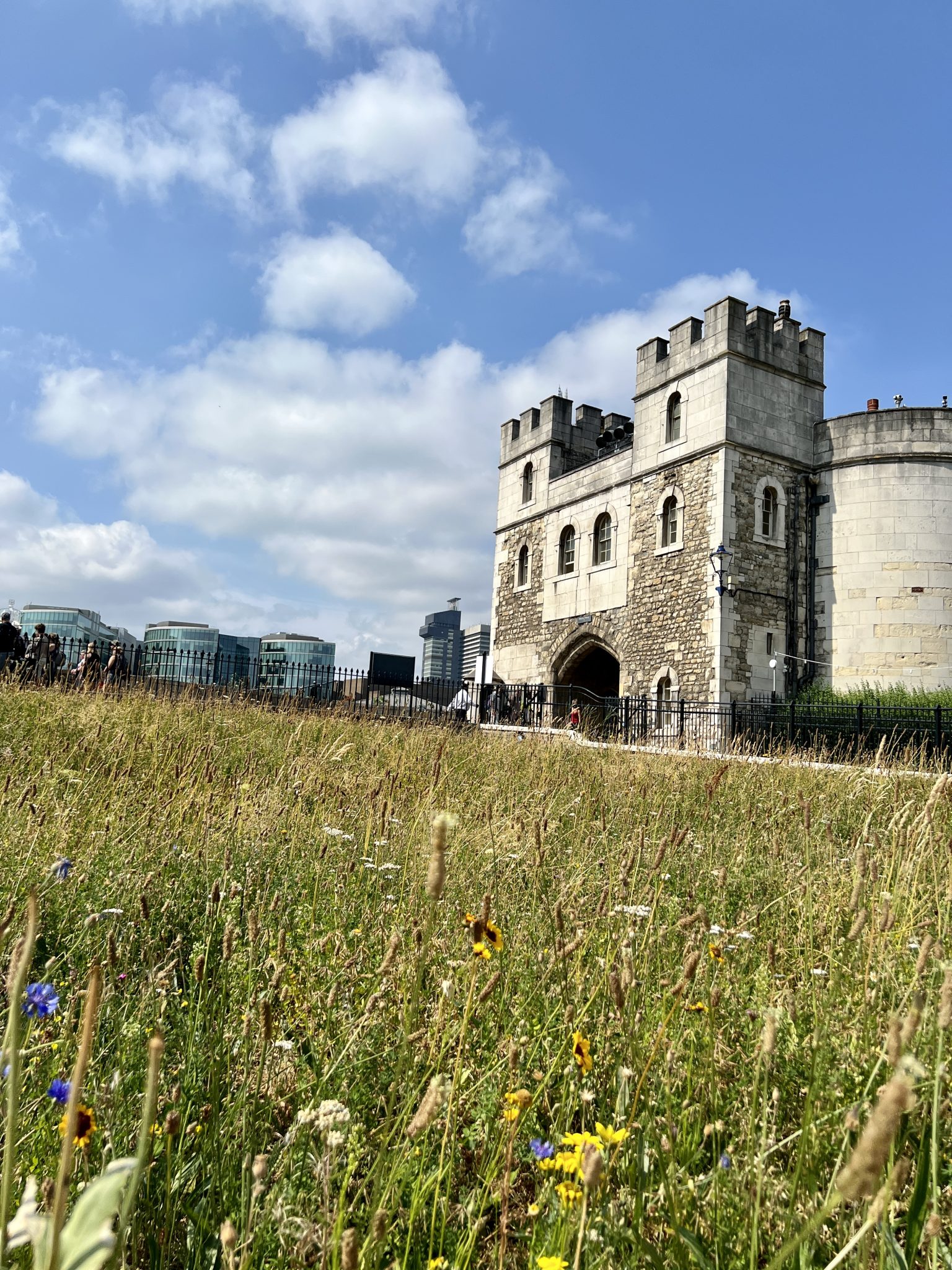 Superbloom at The Tower of London