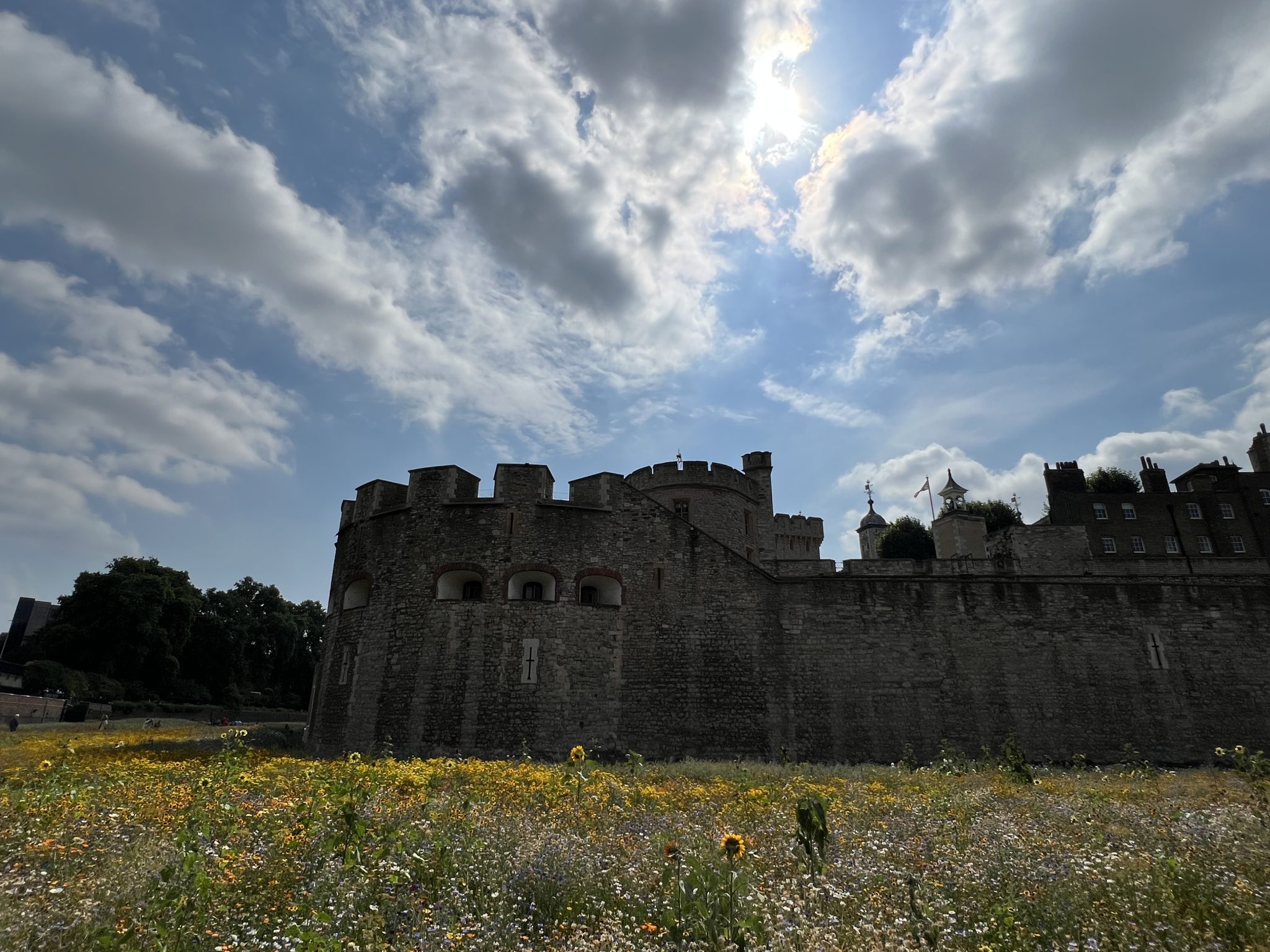 Superbloom at The Tower of London