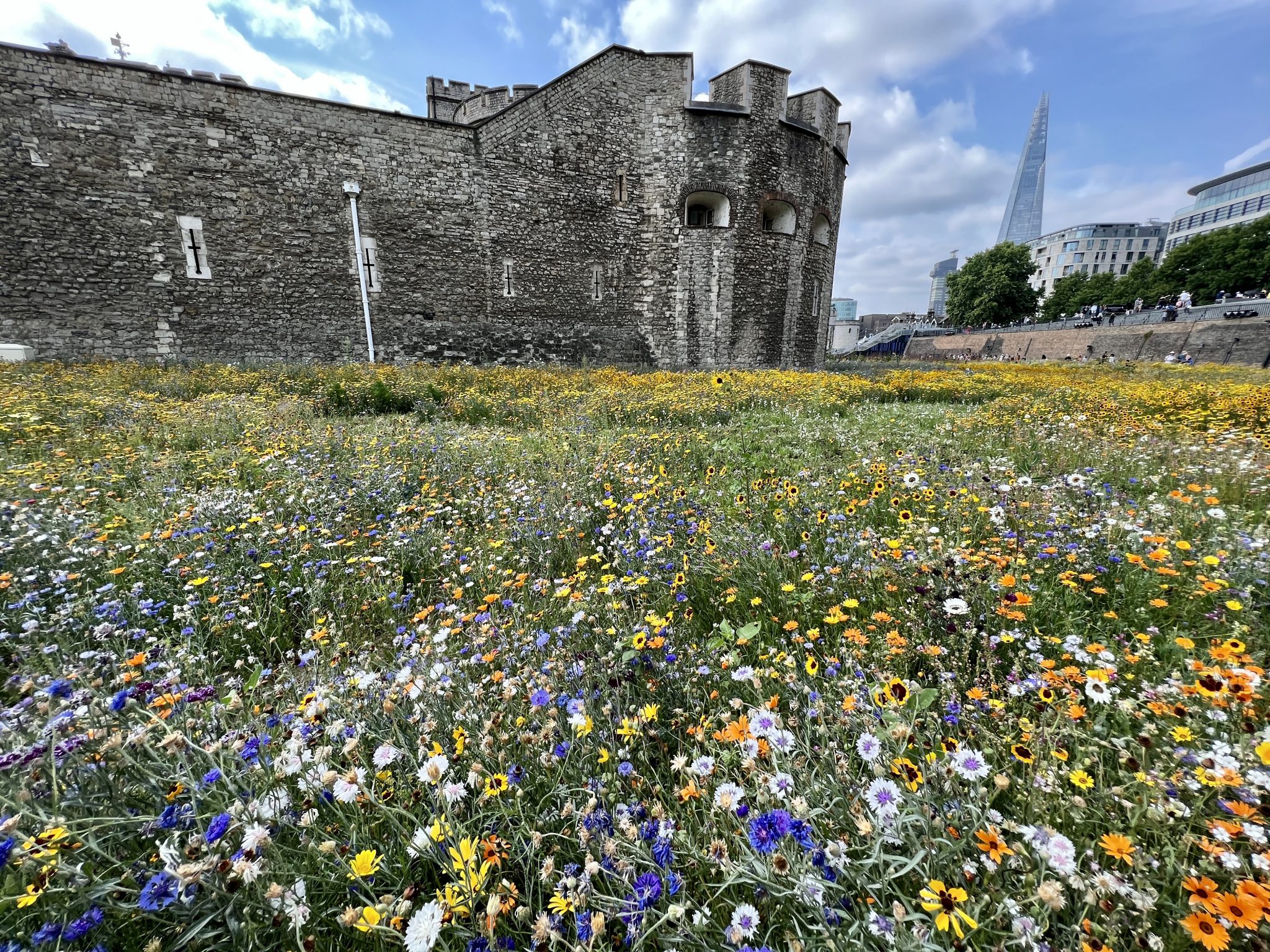 Superbloom at The Tower of London