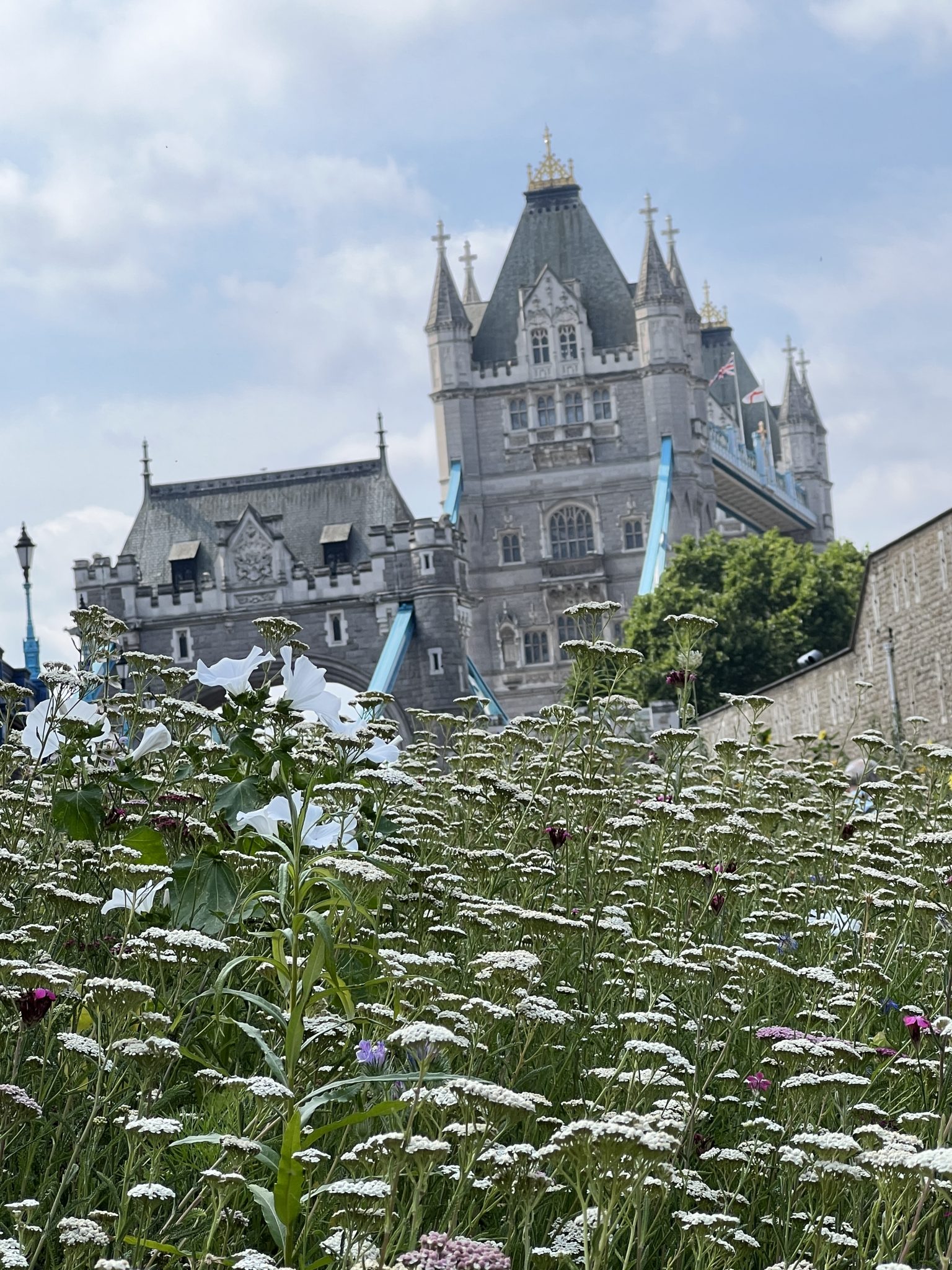 Superbloom at The Tower of London