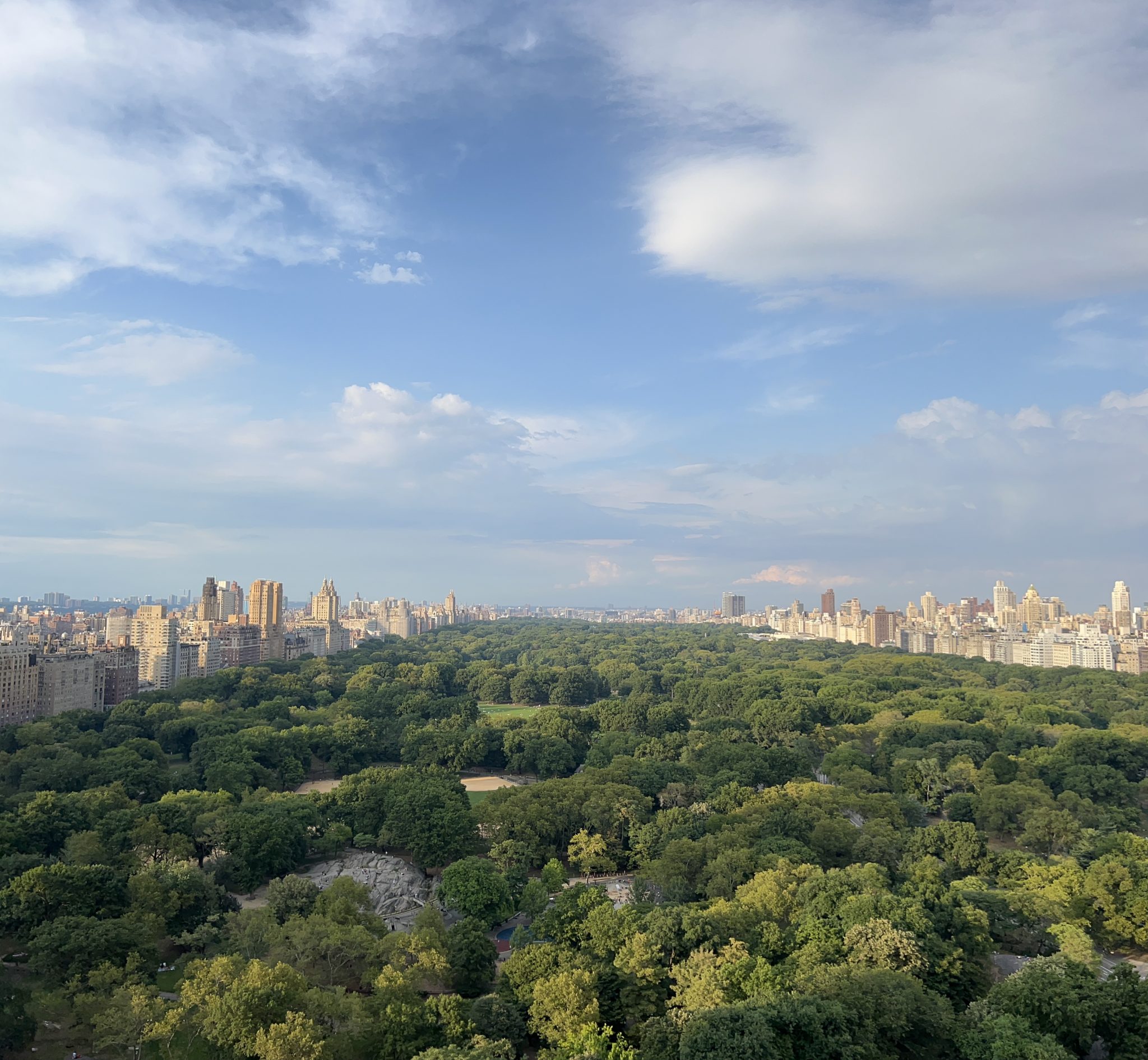 Rooftop Bar view NYAC