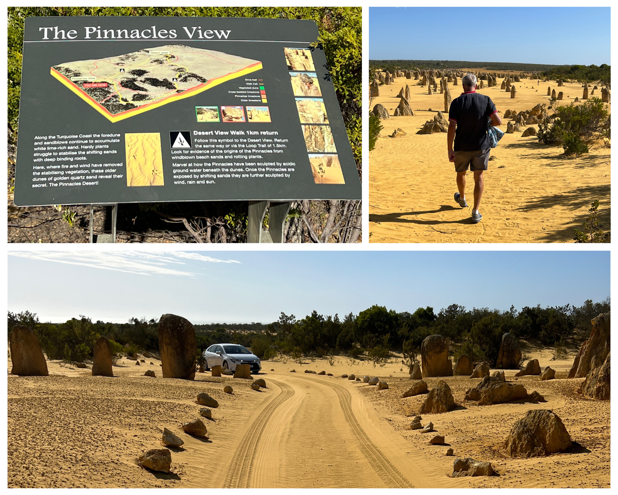 Pinnacles Desert WA