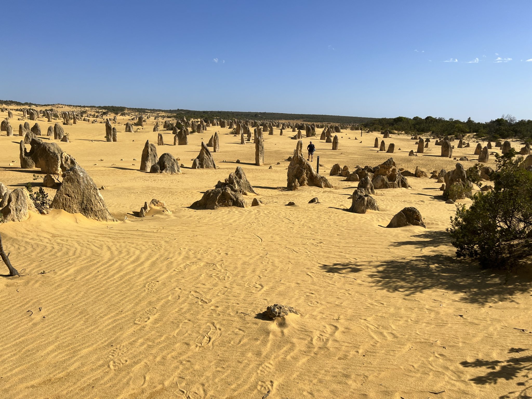 The Pinnacles Desert Walking Trail