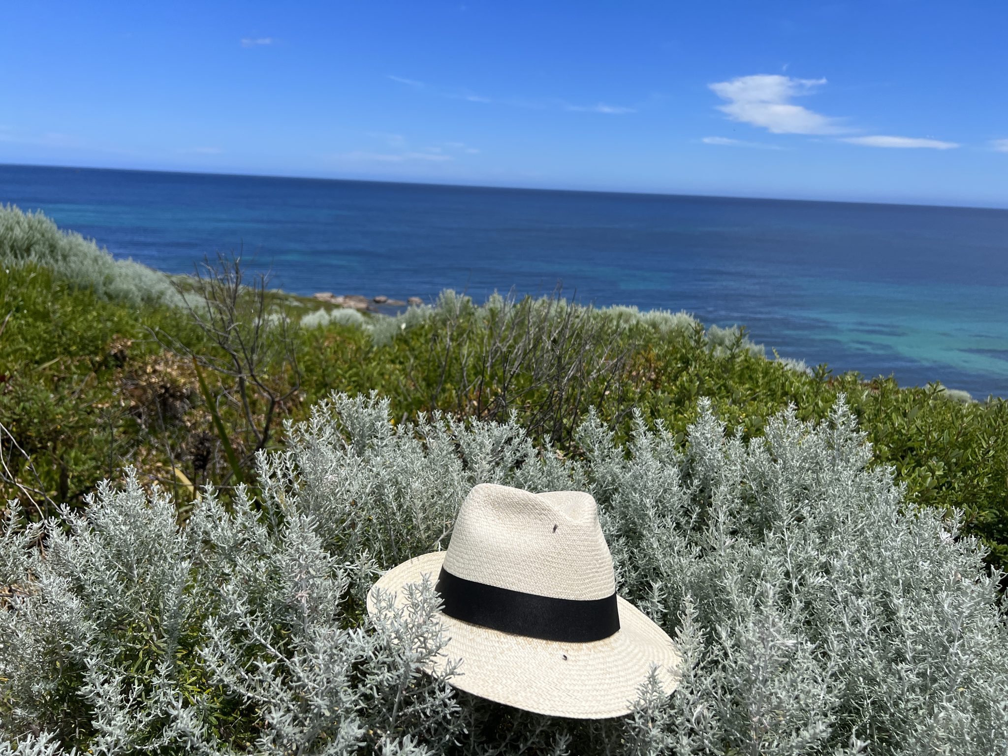 Cape to Cape Track