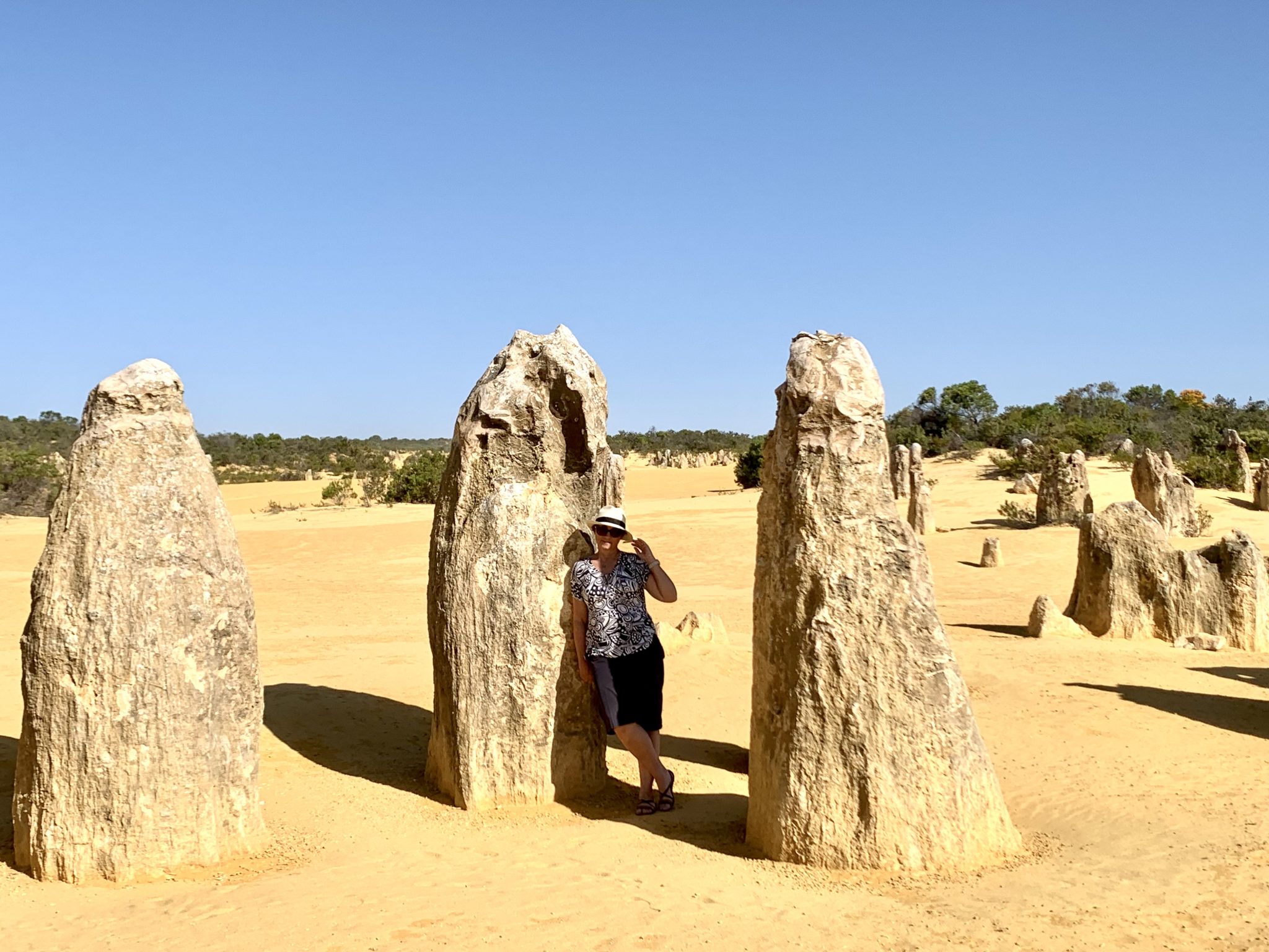 The Pinnacles Desert WA