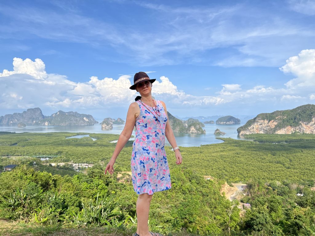 Little Wandering Wren at Samet Nagshe Viewpoint Phang Nga