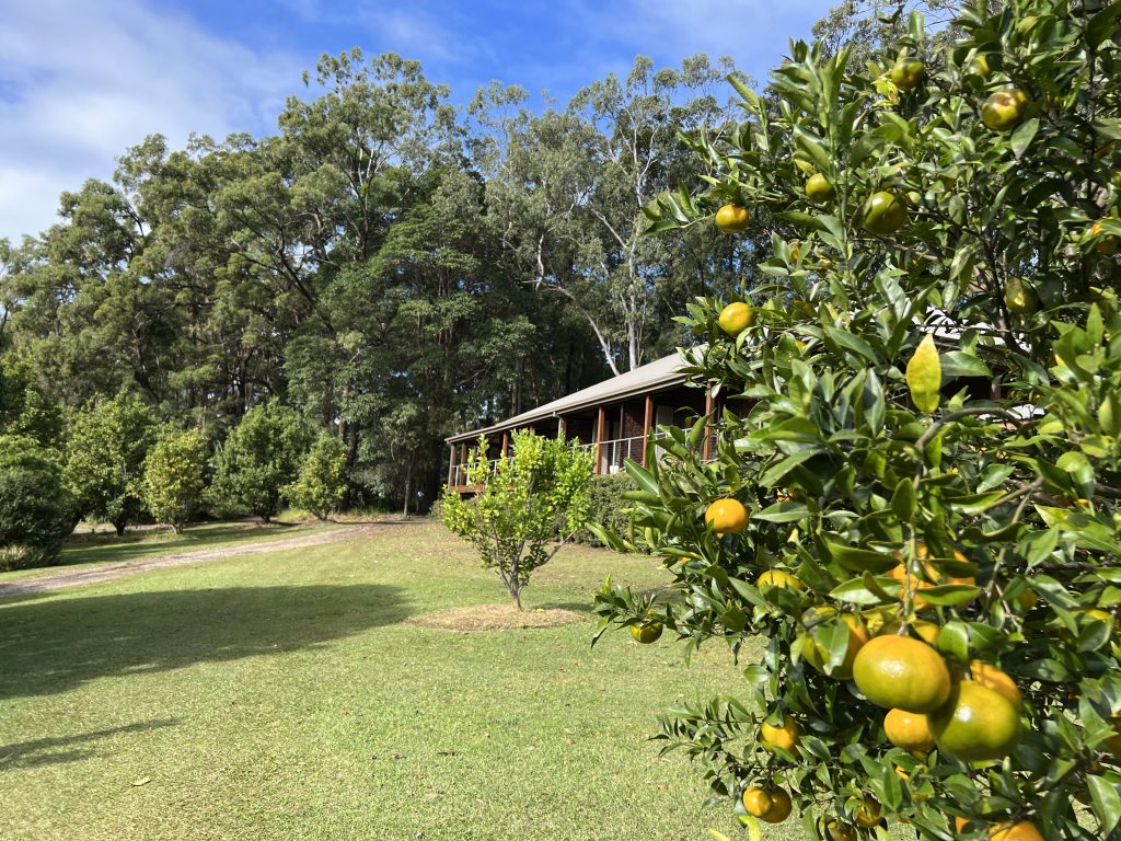 Orchard suites at Gwinganna Lifestyle Retreat
