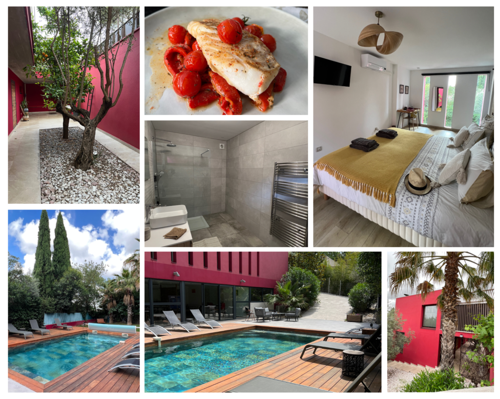 Views of Villa Magnolia, Montpellier
