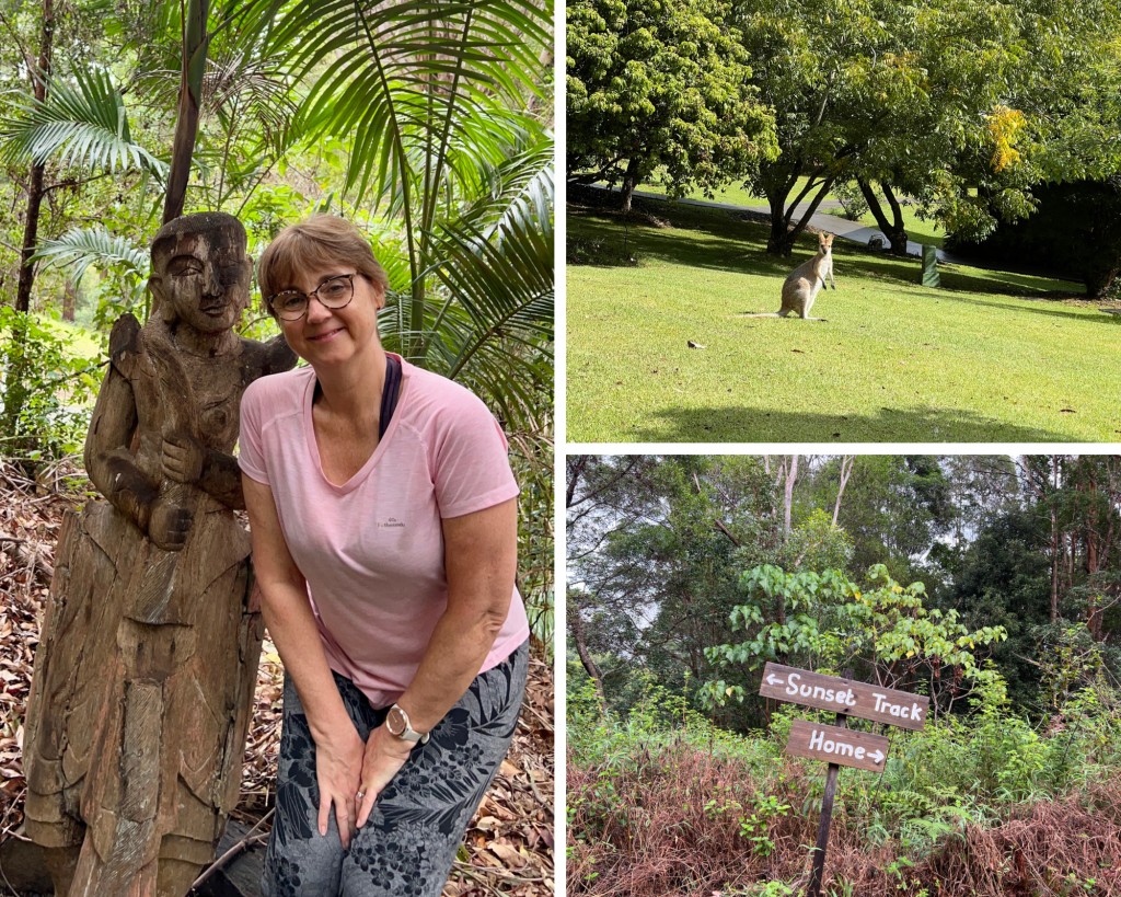 Little Wandering Wren and friends at Gwinganna Lifestyle Retreat