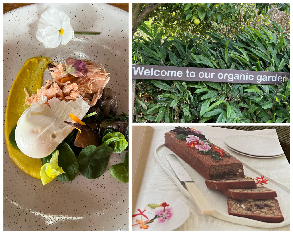 Gwinganna Lifestyle Retreat Cuisine
