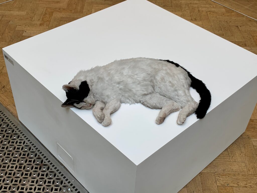 Ryan Gander Rest in Pieces at The Royal Academy of Arts Summer Exhibition