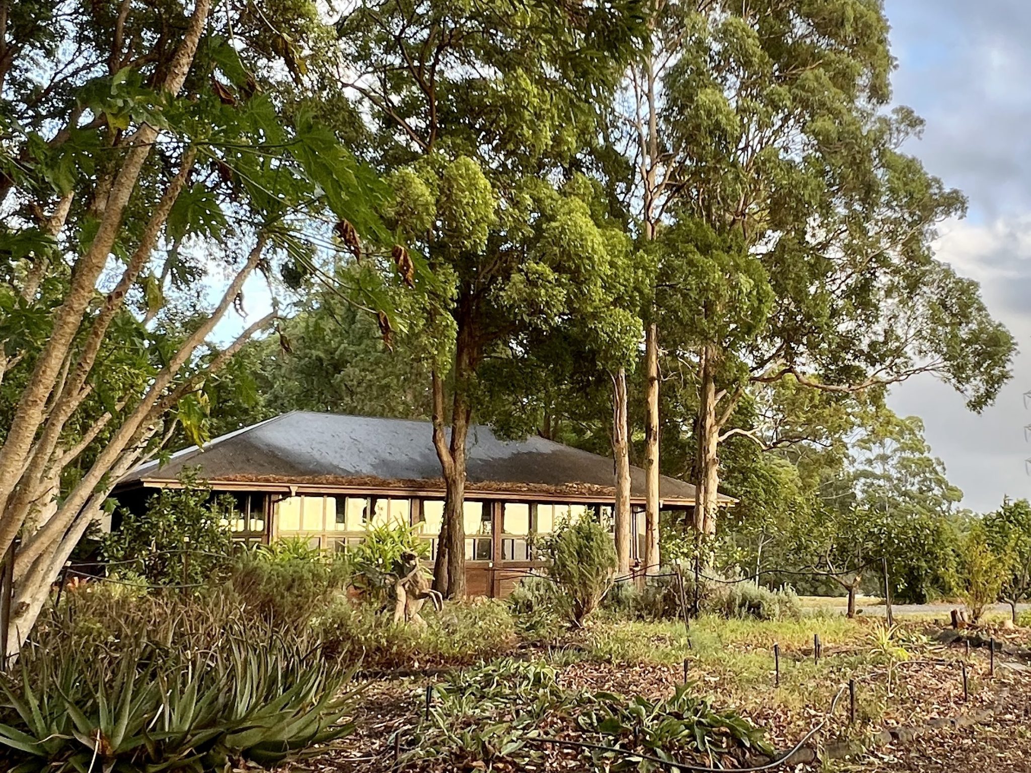 The Pavilion Studio at Gwinganna Lifestyle Resort