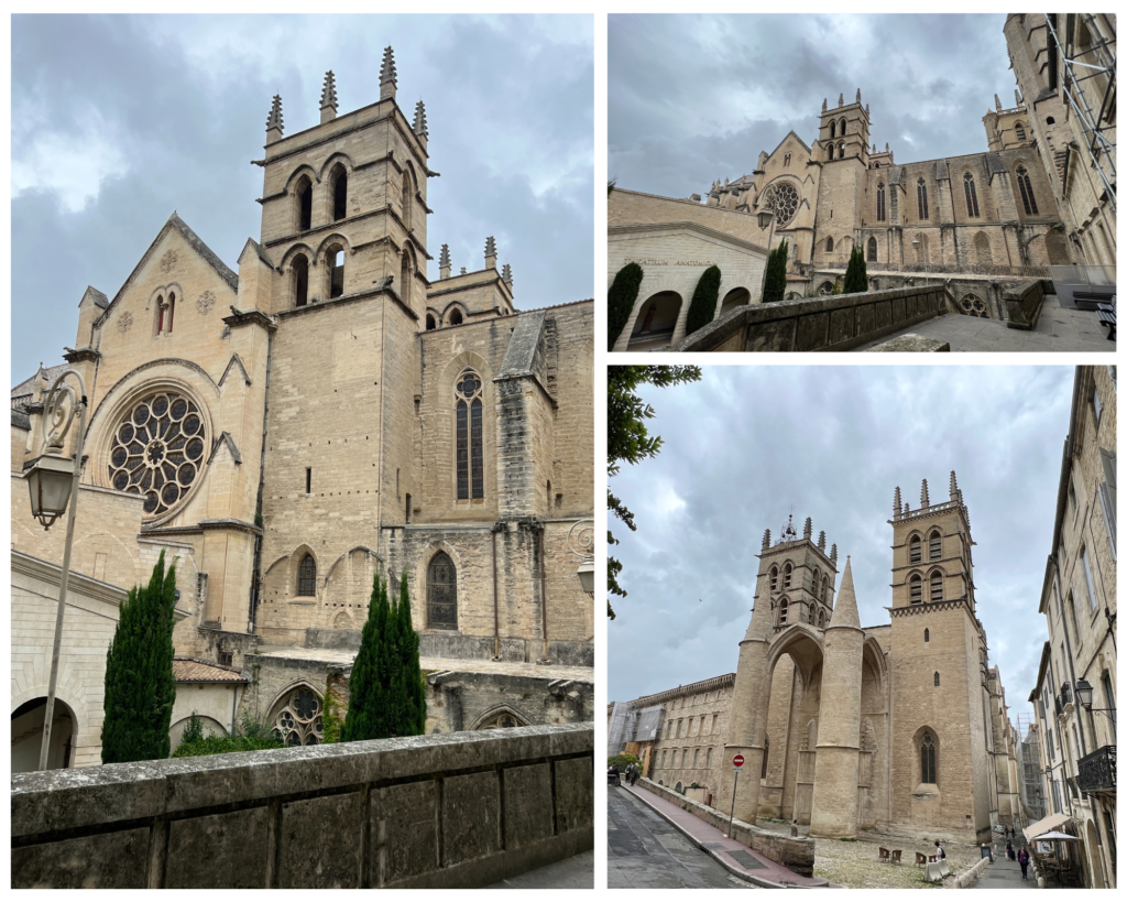 Cathédrale Saint-Pierre Montpellier