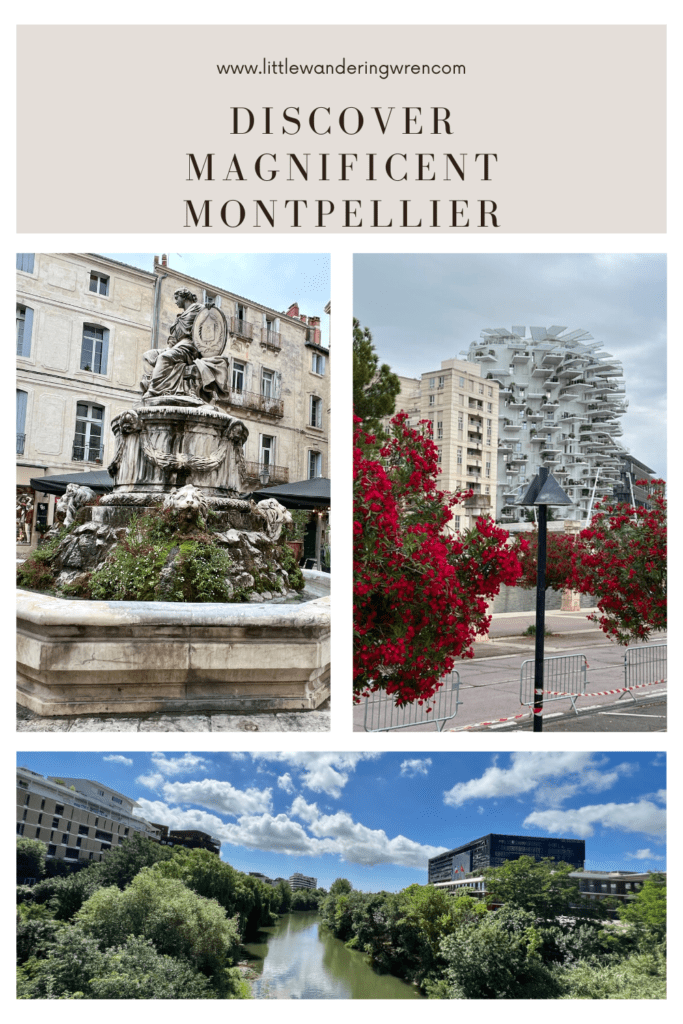 Discover Magnificent Montpellier