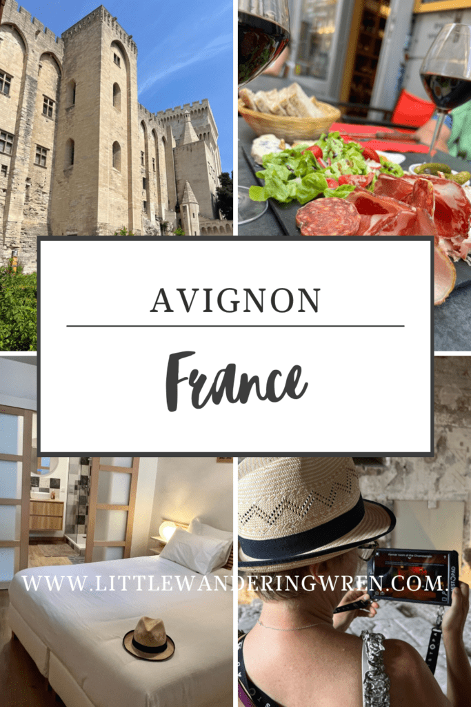 Little Wandering Wren Avignon explores with the Avignon City Pass