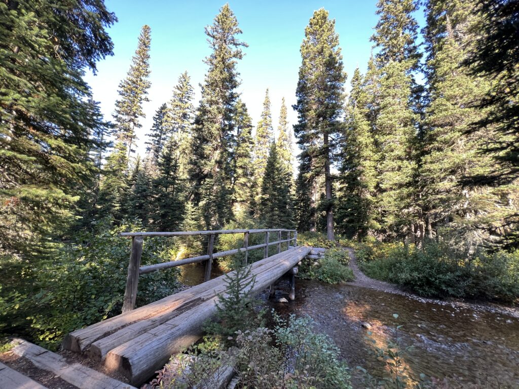 The hike to Upper Two Medicine Lake