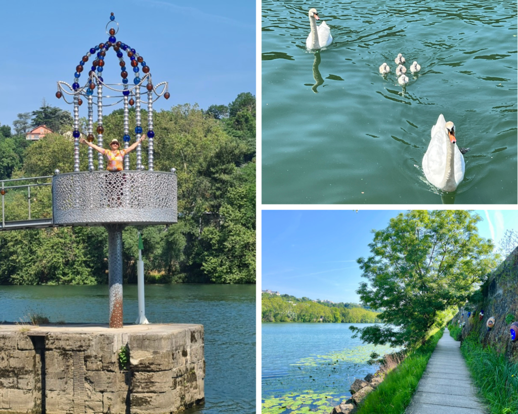 Wandering the Saône river