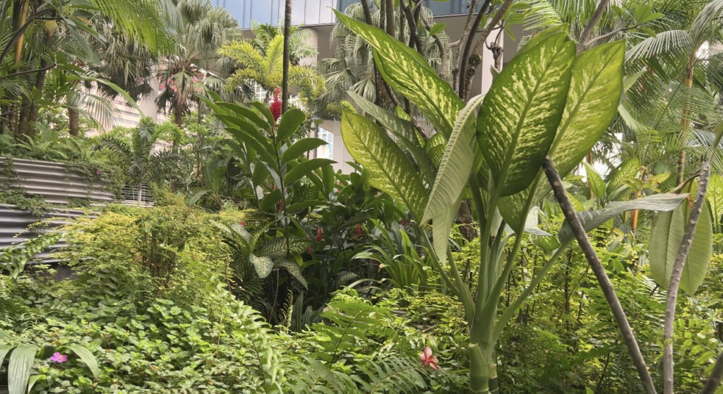 300-metre Garden Walk