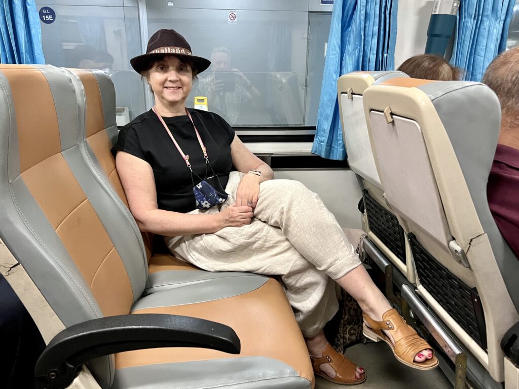 Little Wandering Wren in Second class Air con train carriage from Bangkok to Hua Hin