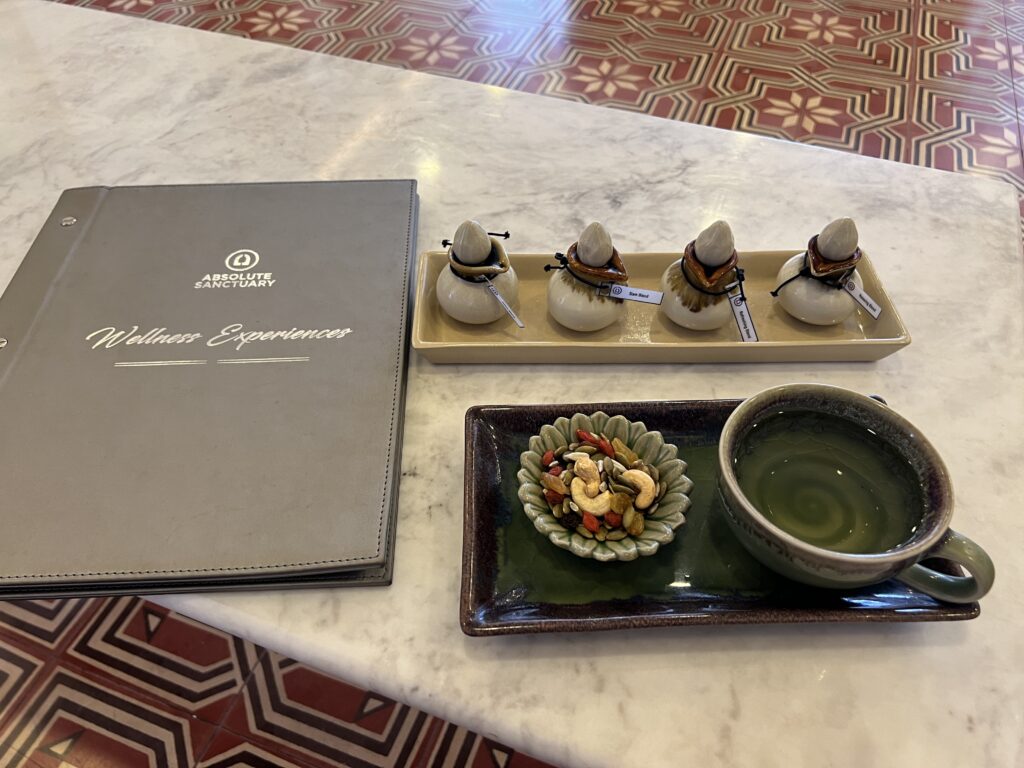 Absolute Sanctuary Wellness experience
