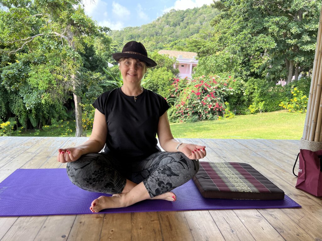 Little Wandering Wren at Meditation Absolute Sanctuary Prime years Program