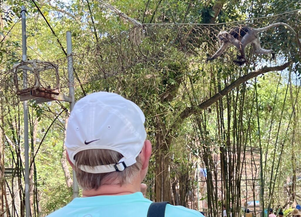Watching primates on the Full Day experience tour at Wildlife Friends Foundation Thailand