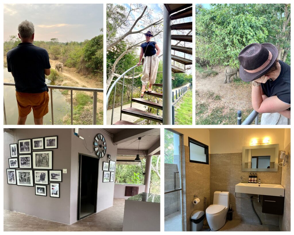 I love Phants Lodge