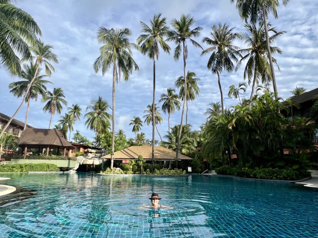 Little Wandering Wren in The Tropical Pool at the Courtyard by Marriott Phuket, Patong Beach Resort