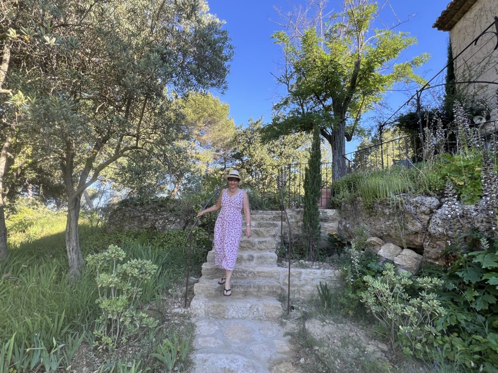 Little Wandering Wren enjoying the grounds at La Bastide du Mourre
