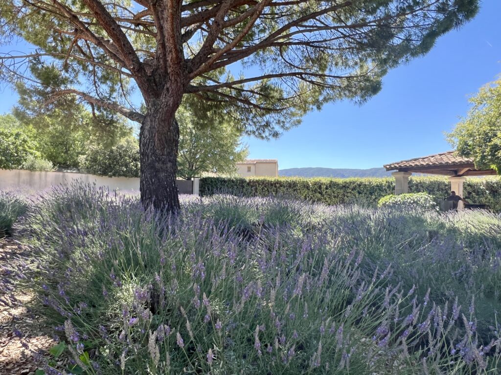 Musée de la Lavande Coustellet, Luberon