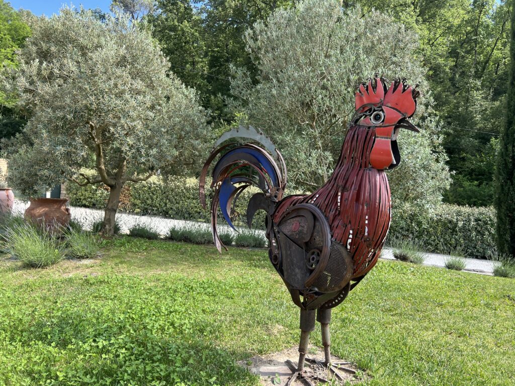 Chicken amongst the Olive Trees at Bastide du Laval 