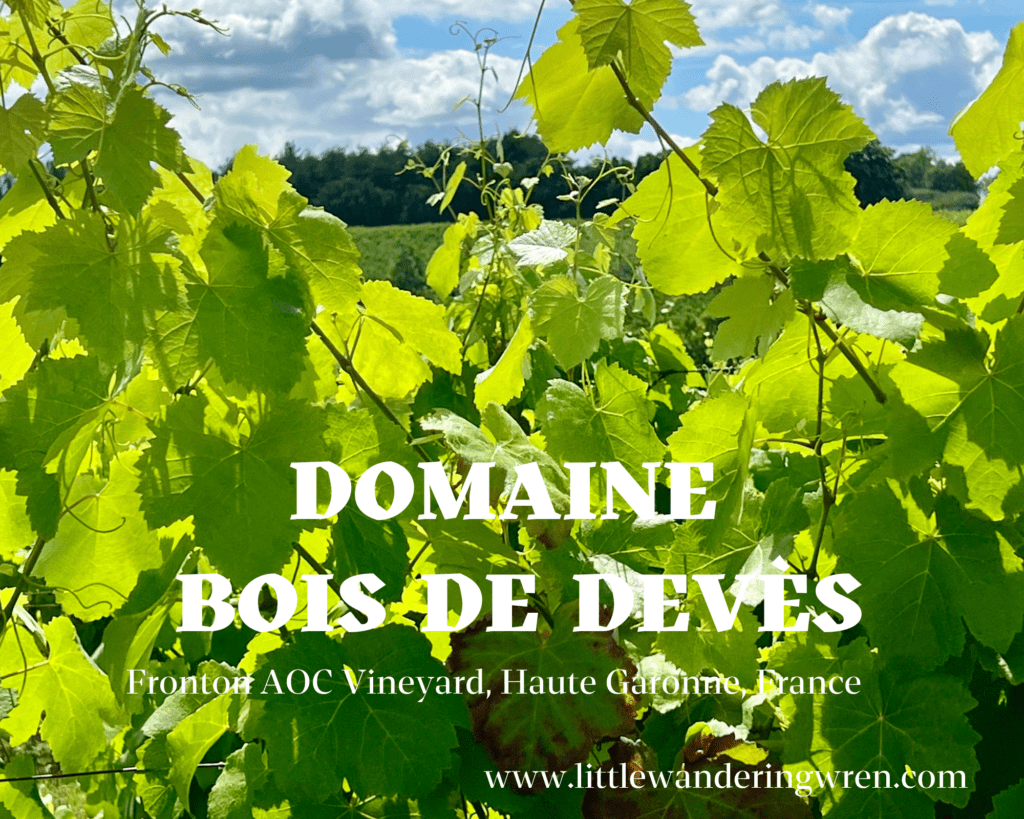 Pinterest Pin Domaine Bois de Devès