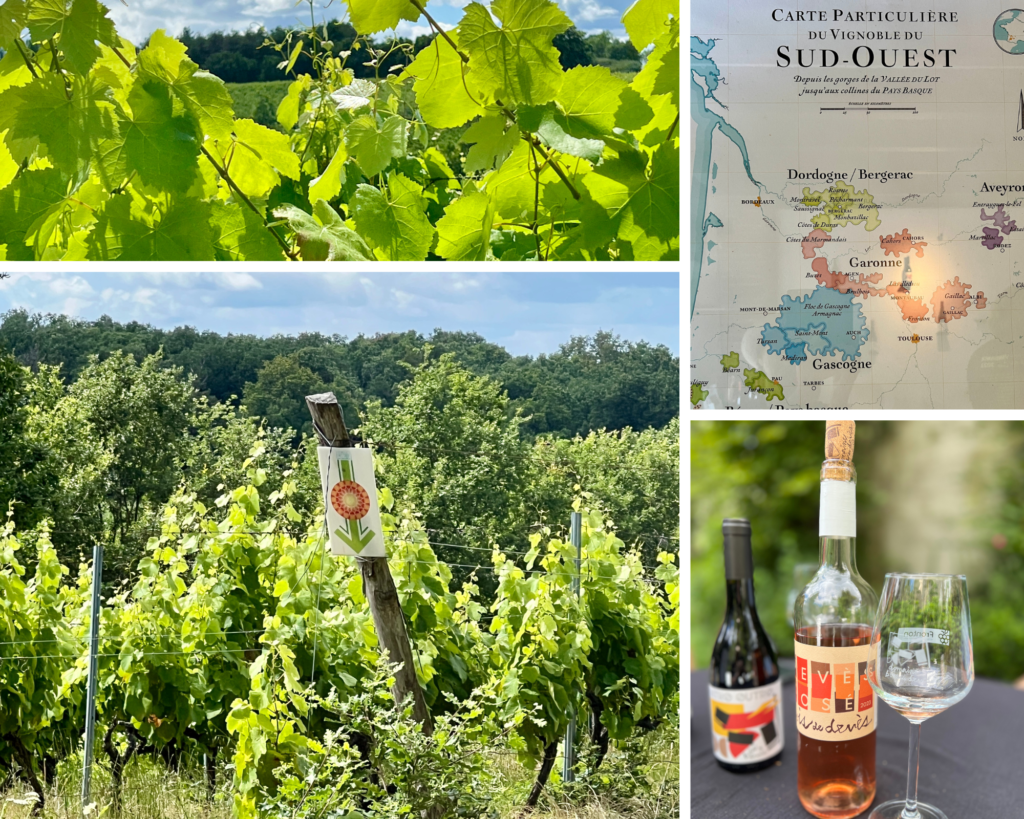 Winetasting at Domaine Bois de Devès