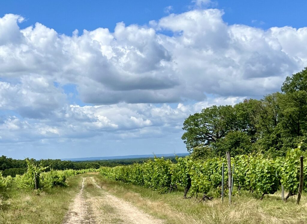Views of Domaine Bois de Devès
