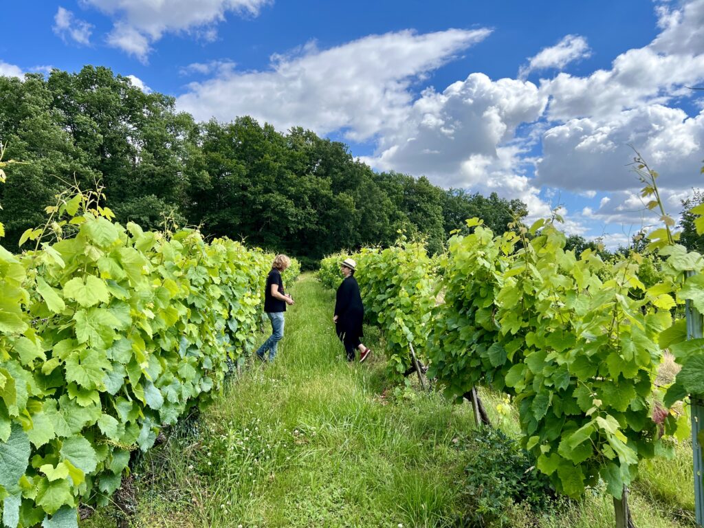 Domaine Bois de Deves