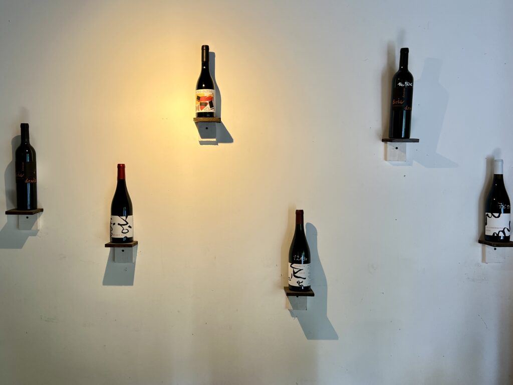 Cellar door wine collection at Domaine Bois de Devès