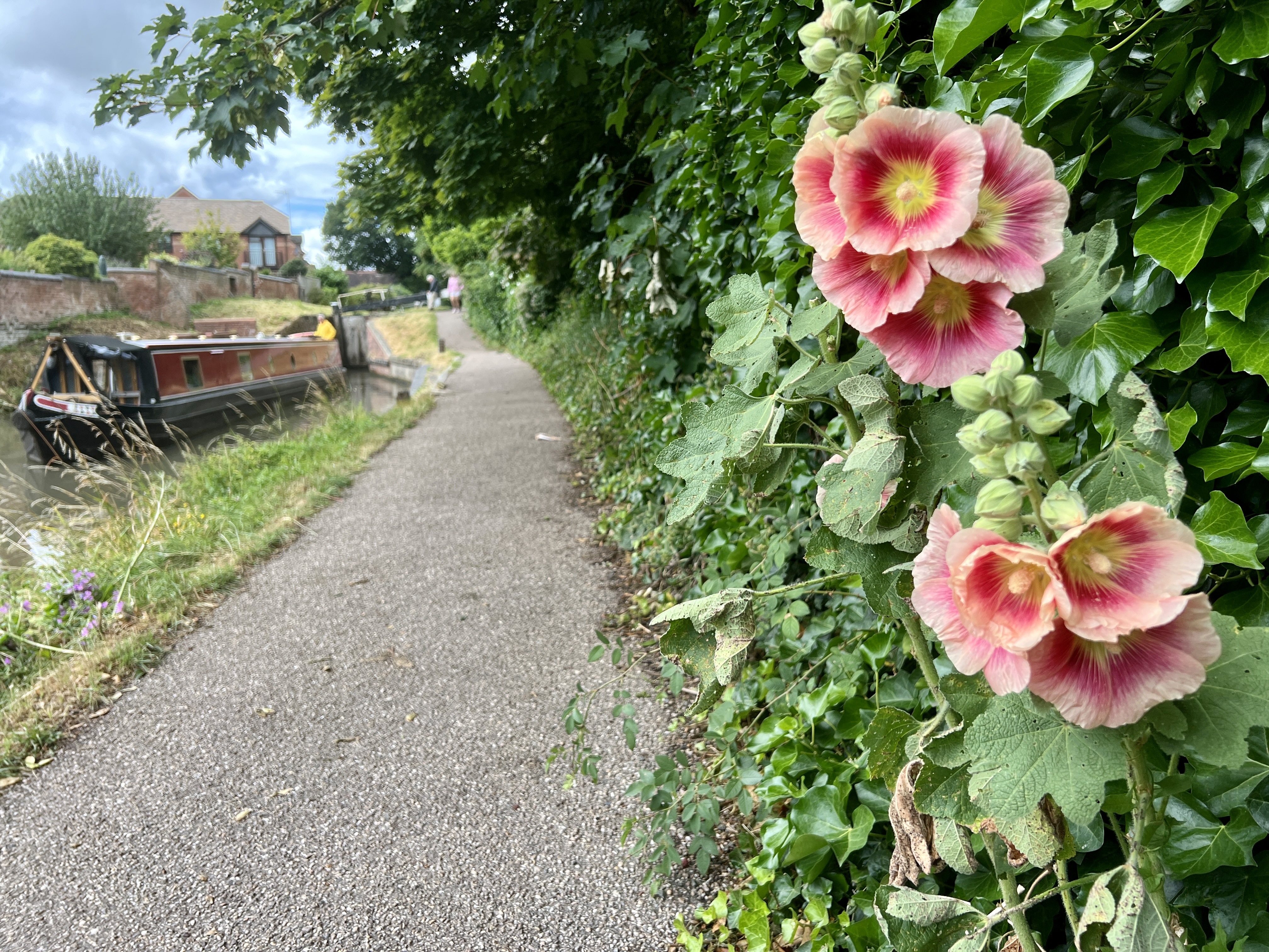 Tow path on the Stratford Canal with Drifters Waterway Holiday Poppy canal boat.