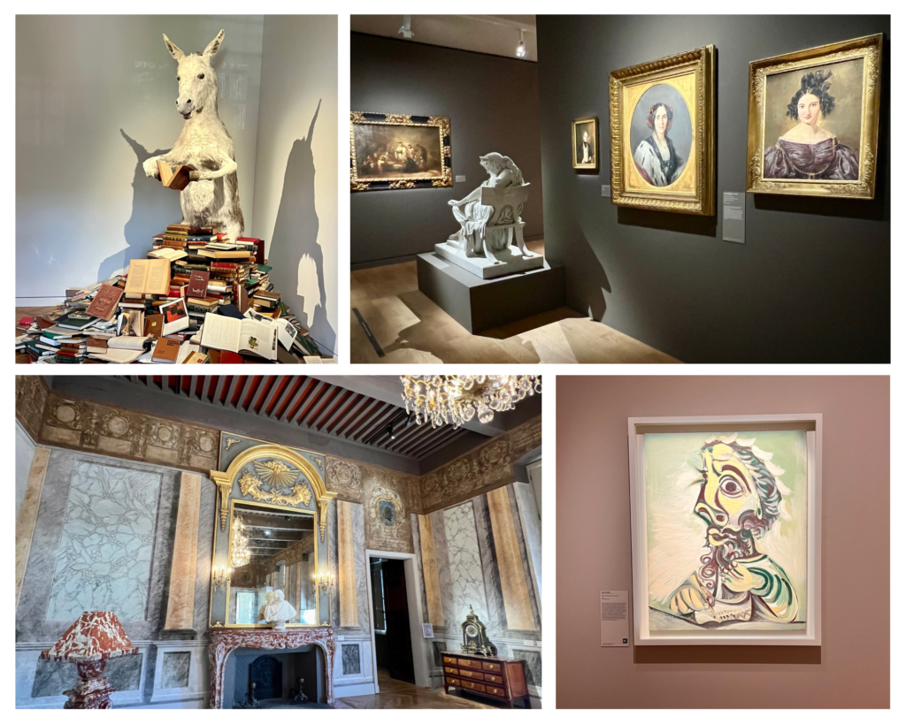 Goya Museum paintings including Picasso